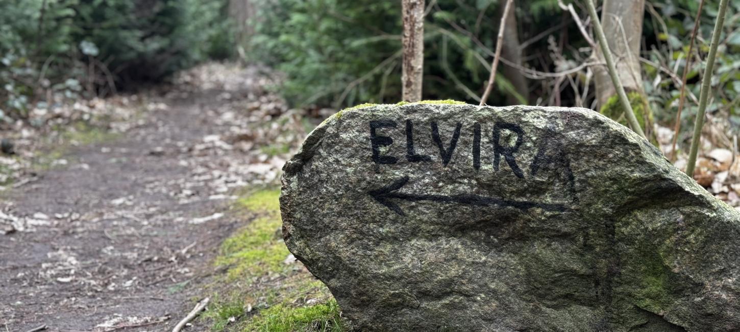 Nørreskoven - Tåsinge, Svendborg